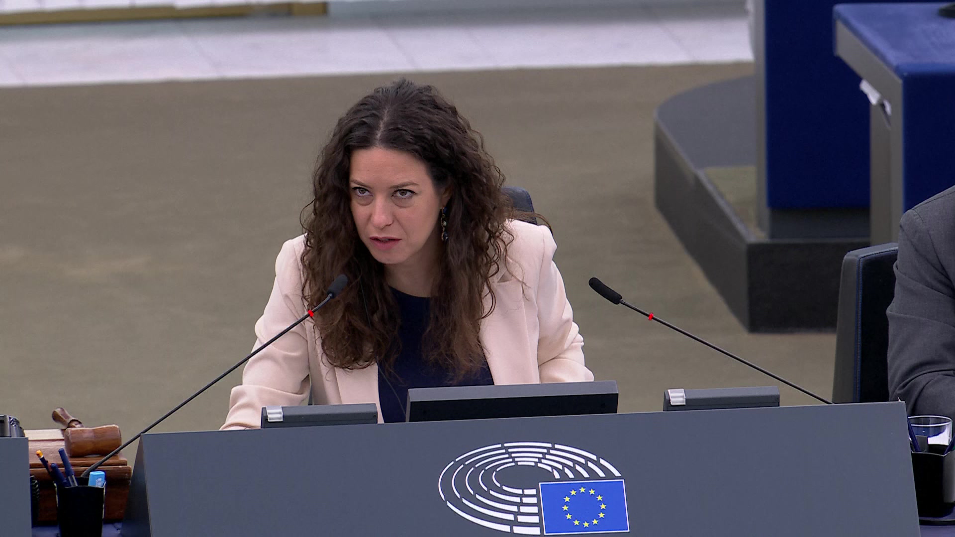 Combating the sexual abuse, sexual exploitation of children and child sexual abuse material: MEPs debate (part 2)